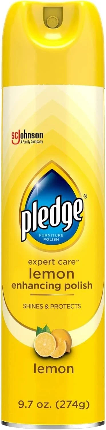 Expert Care Wood Polish Spray, Shines and Protects, Removes Fingerprints,