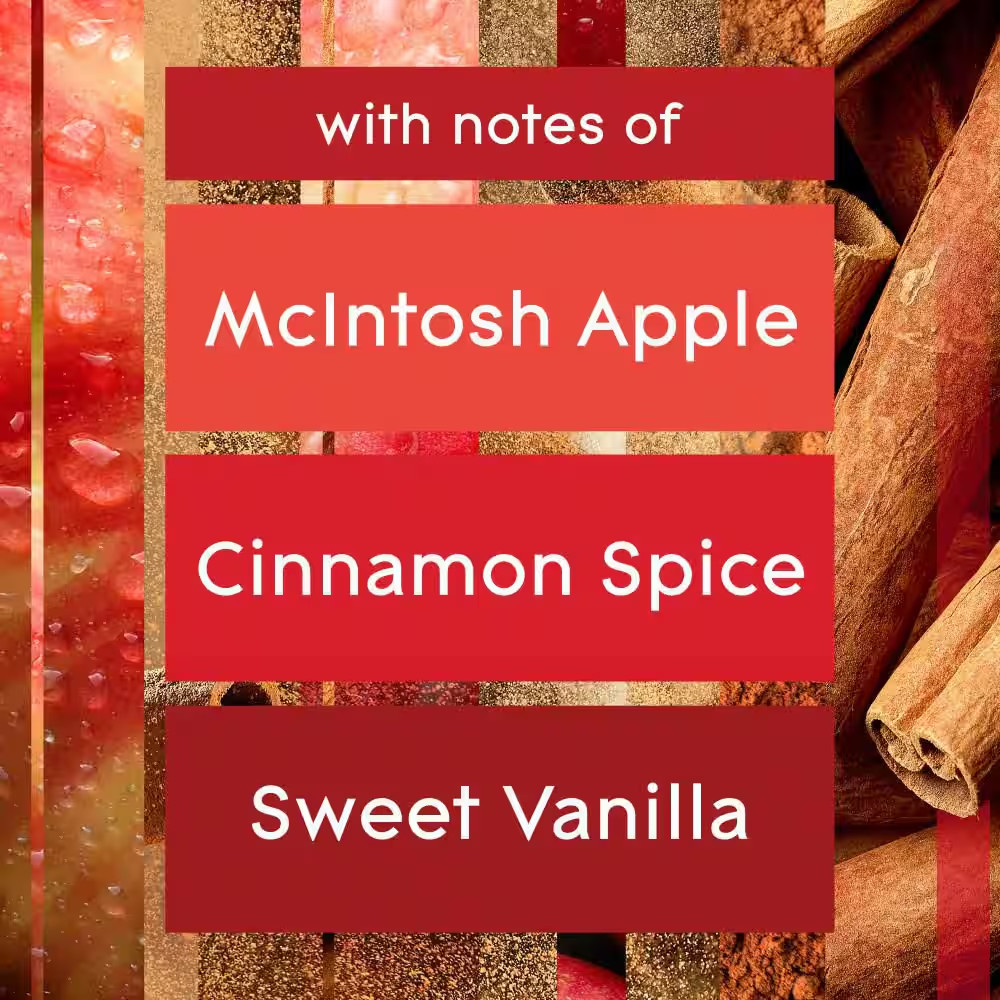 3.35 Fl. Oz. Apple Cinnamon Scented Oil Plug-In Air Freshener Refill (5-Count)