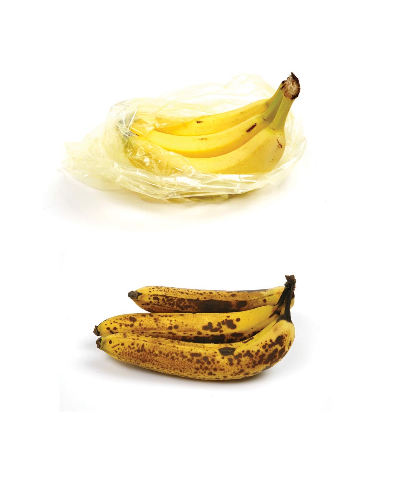 Norpro Reusable Fresh Bags, 20 count One Size, Yellow