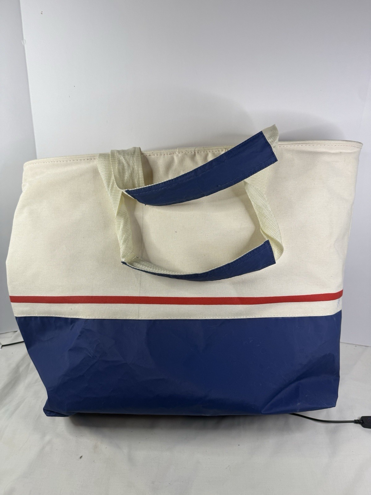 Costco Large Blue and White Zipper Canvas Shopping Tote Bag Reusable 15” – Used