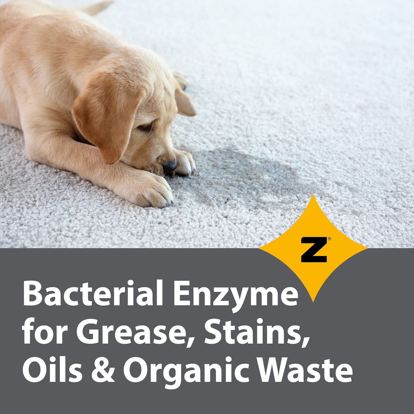 Zeiff Pro-Grade Multi-Purpose Probiotic Enzyme Cleaner – Pet Stain and Odor