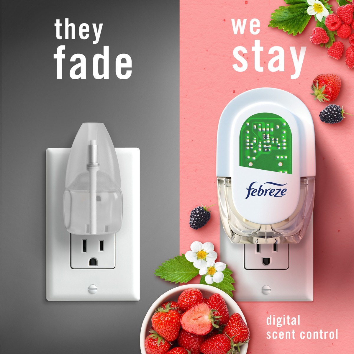 Febreze Plug Triple Refill Air Freshener – Berry & Bramble – 3ct: Oil Scent