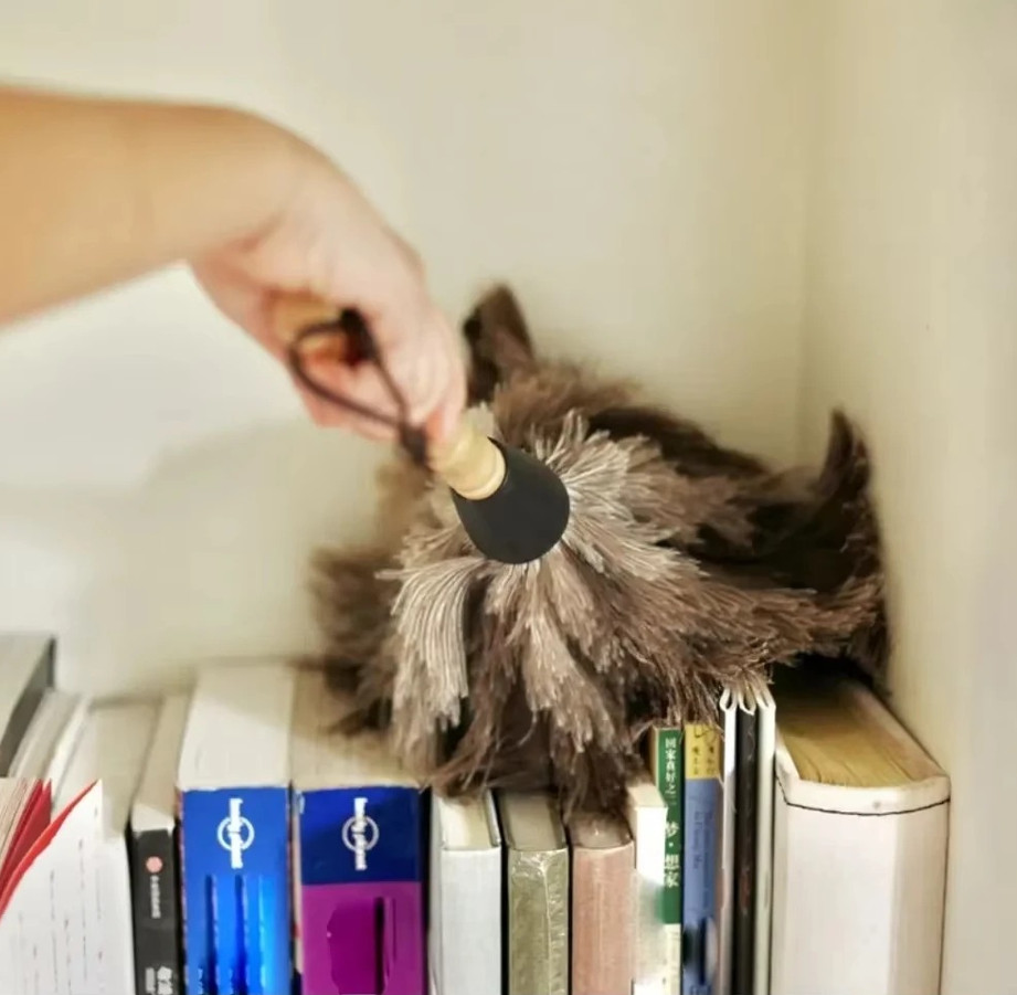 1 pc Feather Duster Ostrich Feather Brush Wooden Handle Cleaning Tool