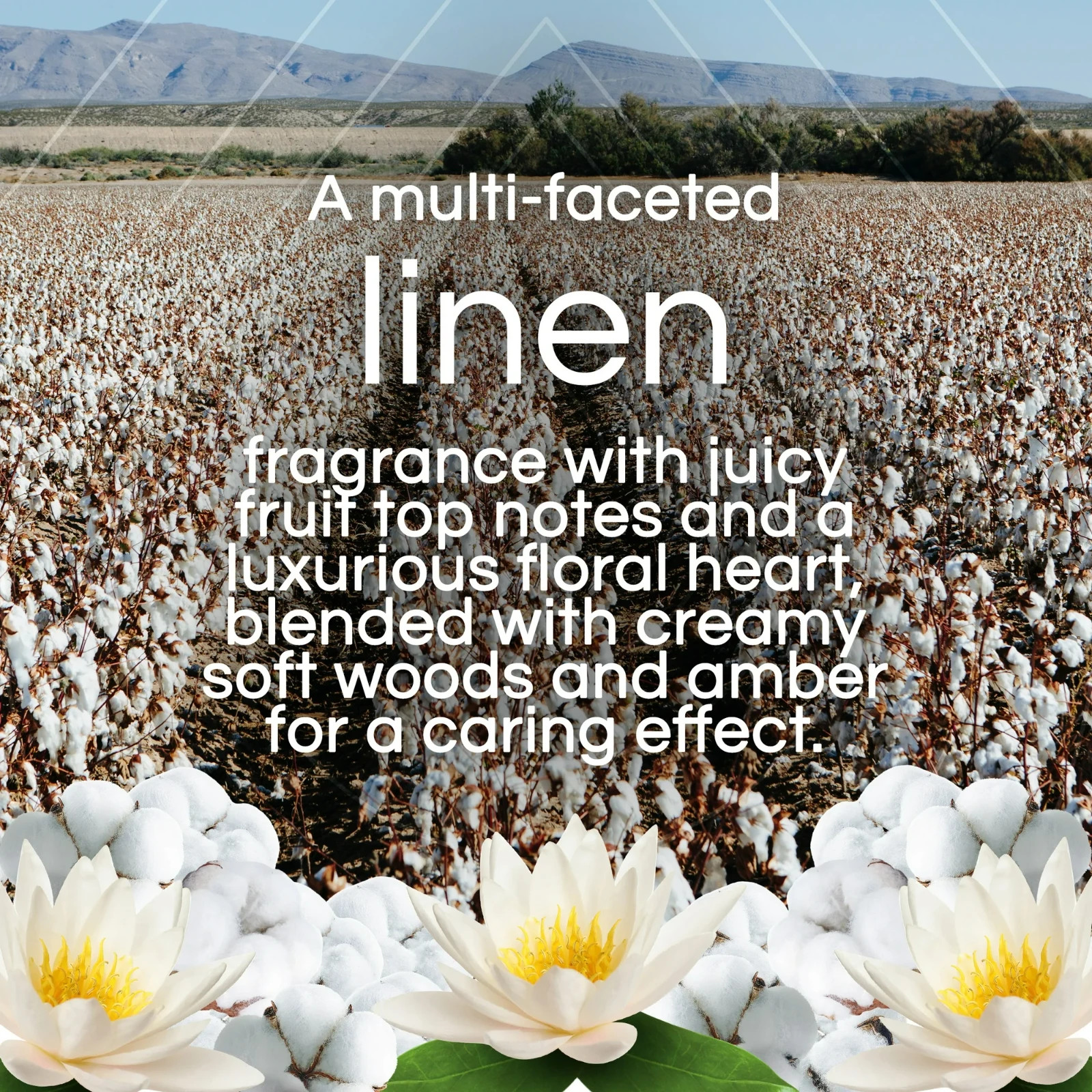AIR WICK Scented Oil – Vibrant Refill Cotton & White Lotus 5 ct. Pack of 2