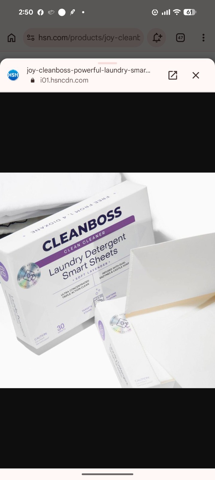 CleanBoss 2pk Powerful Laundry Smart Sheets: Up to 120 Loads-Lavender