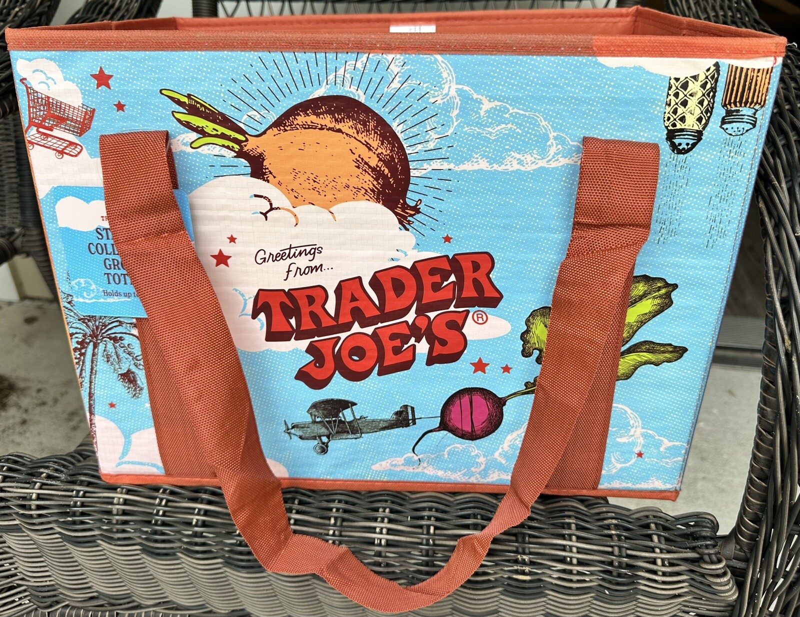 Trader Joe’s NEW 💚 STAND-UP COLLAPSIBLE REUSABLE GROCERY SHOPPING TOTE GIFT BAG