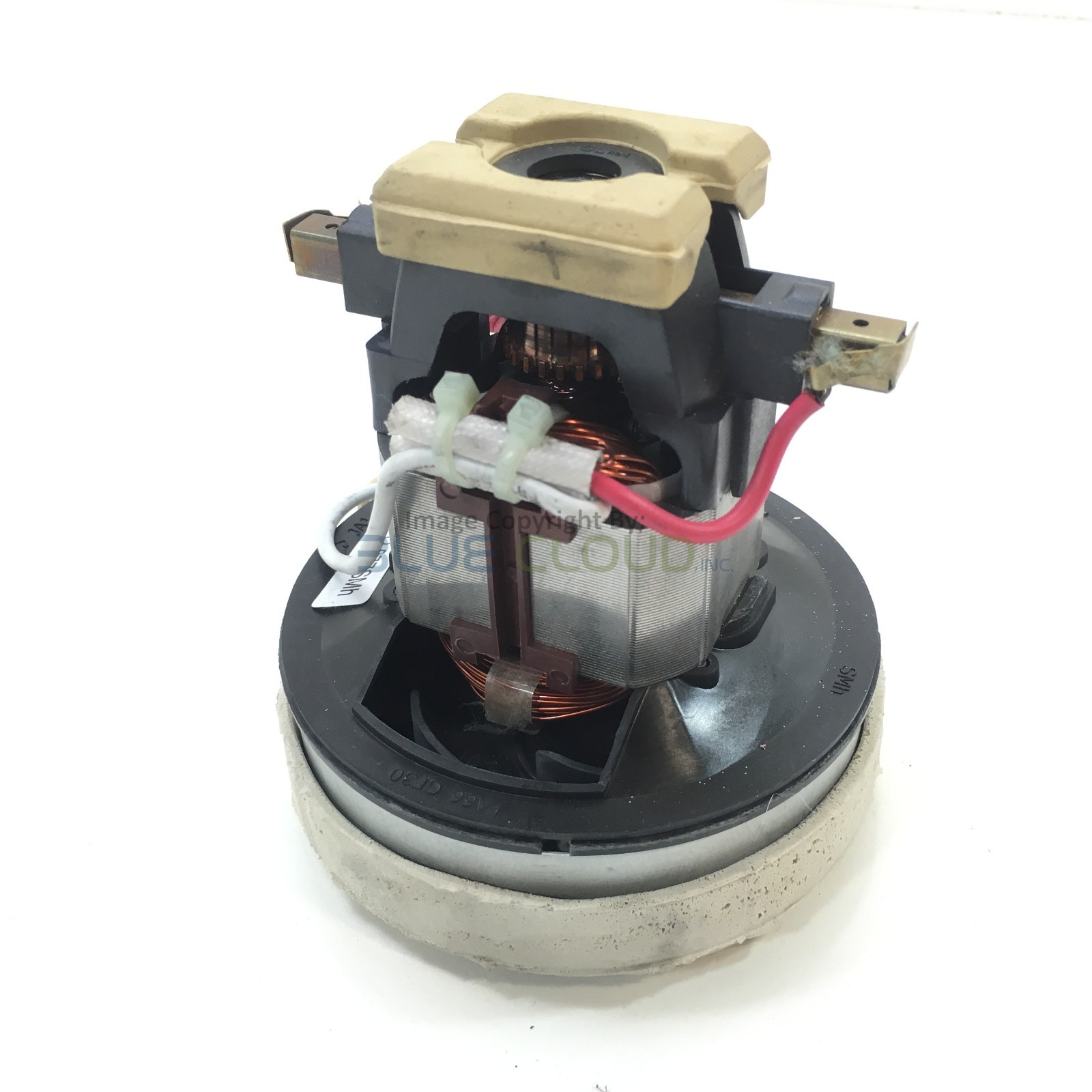 Shark NV771 NV770 NV611 NV601 UV700 SMALL 120V MOTOR ENGINE OEM # KCL12-077SMh