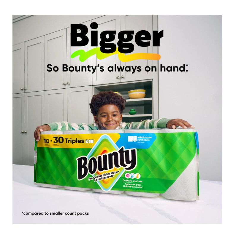 Select-A-Size White Paper Towels, 2 Triple Rolls, 123 Sheets Per Roll