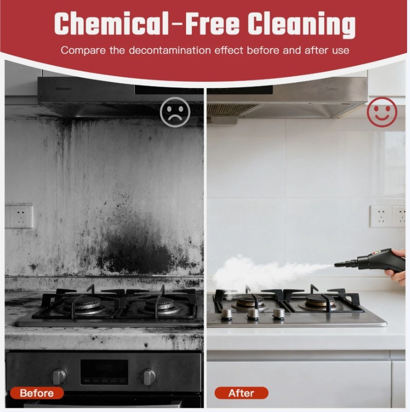 2500W Handheld Steam Cleaner Car Detailing Cleaning Machine Auto Washer 1Set
