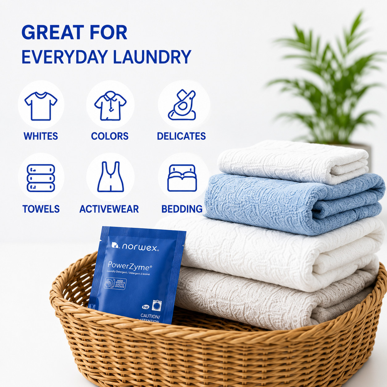 NORWEX PowerZyme Laundry Detergent Powder 2 Sachet Travel Packets 30g x 2 Pack