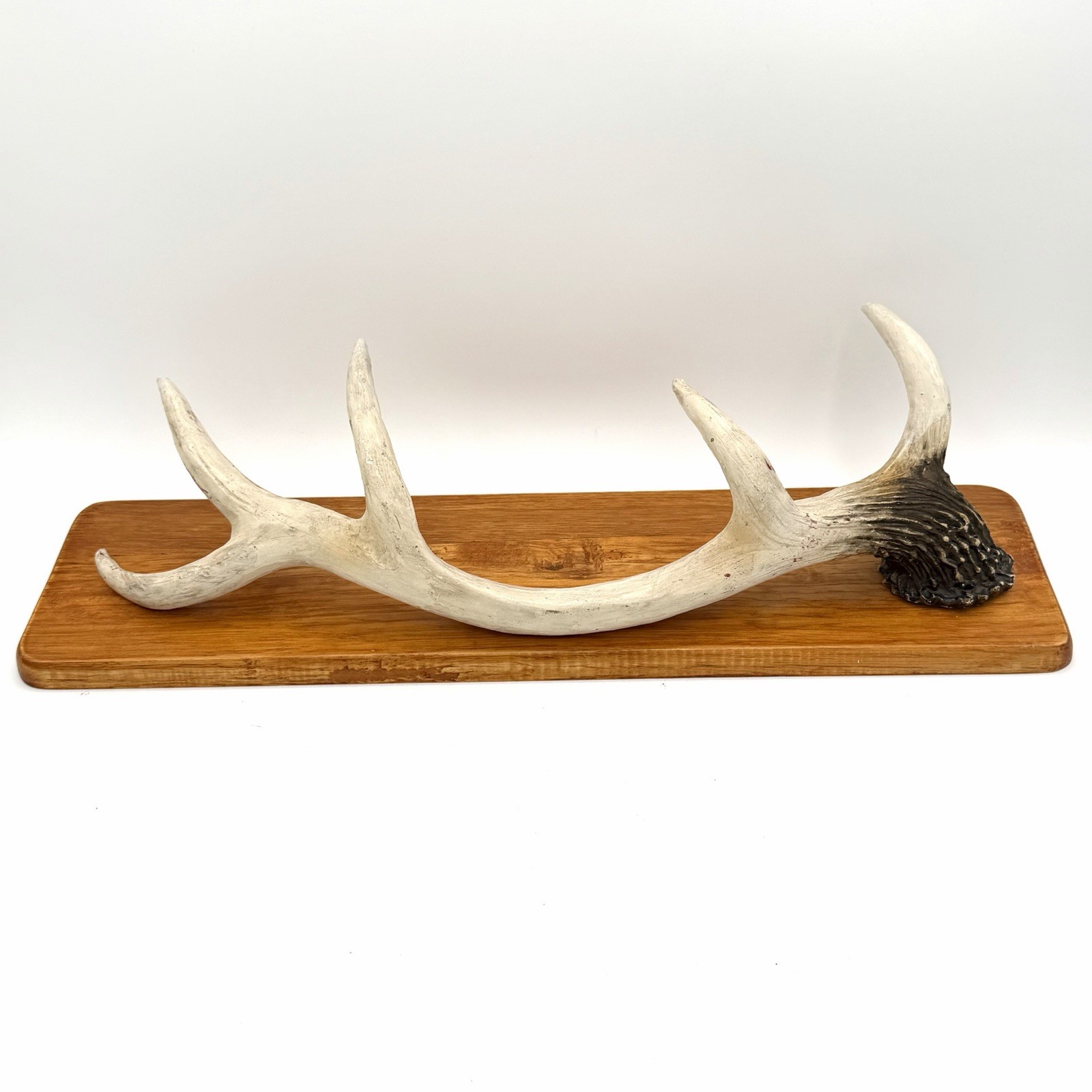 Rustic White Tail Deer Antler Wall Mounted Coat Hat Rack On Wood 17.5 X 4 Inch