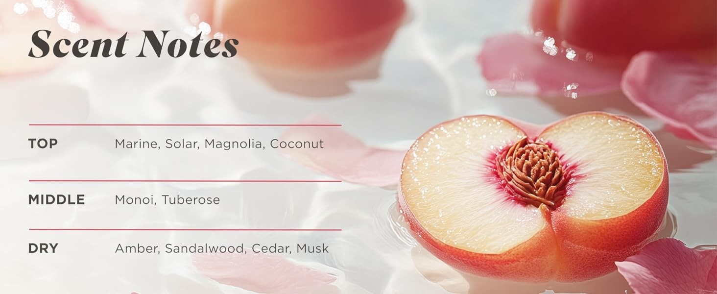 Beauty Bar Soap For Noticeably Silky Soft Skin Daily Silk Extract and Floral Oil