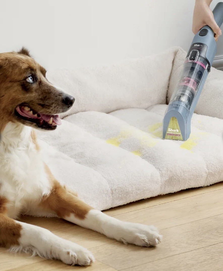 Shark StainForce Cordless Portable Spot, Stain and Odor Removal System
