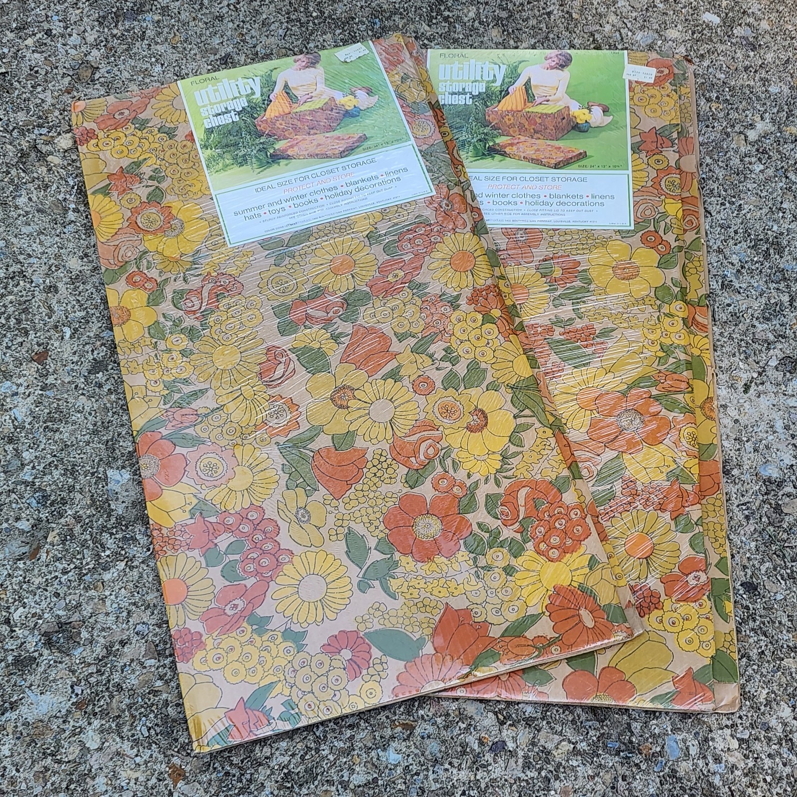 Vtg Mid Century Floral Cardboard Under Bed Storage Chest Mod Flower Power Sealed