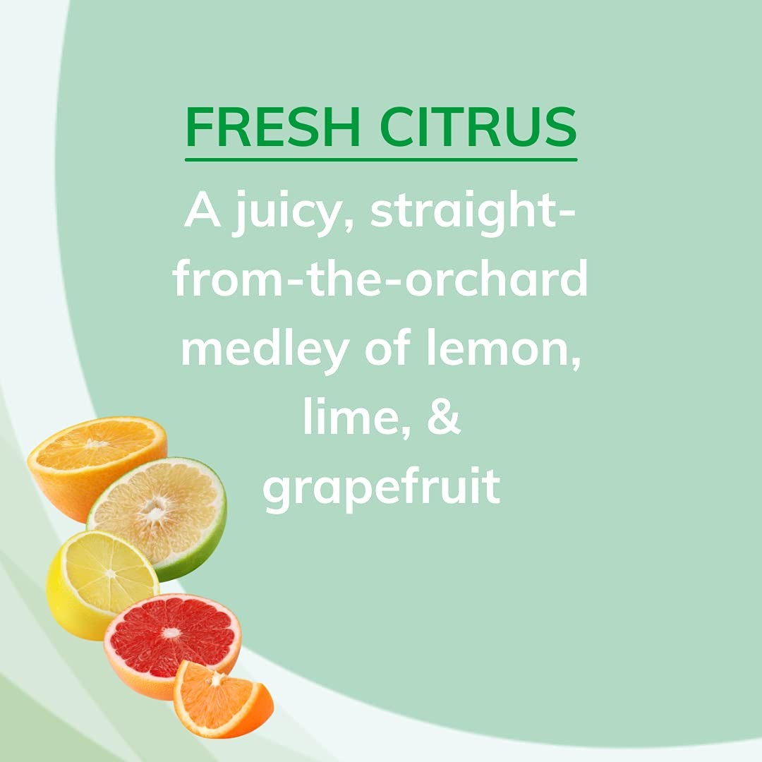 Odor Absorbing Solid Air Freshener, Fresh Citrus, 8-Ounce, Pack of 1