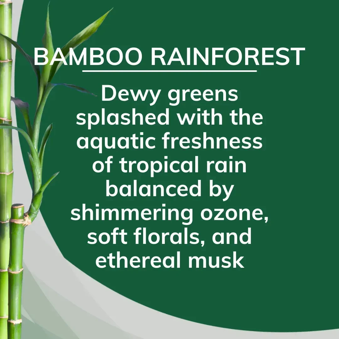 Citrus Magic Bamboo Rainforest Air Freshener 8oz Pack of 3 Odor Eliminators