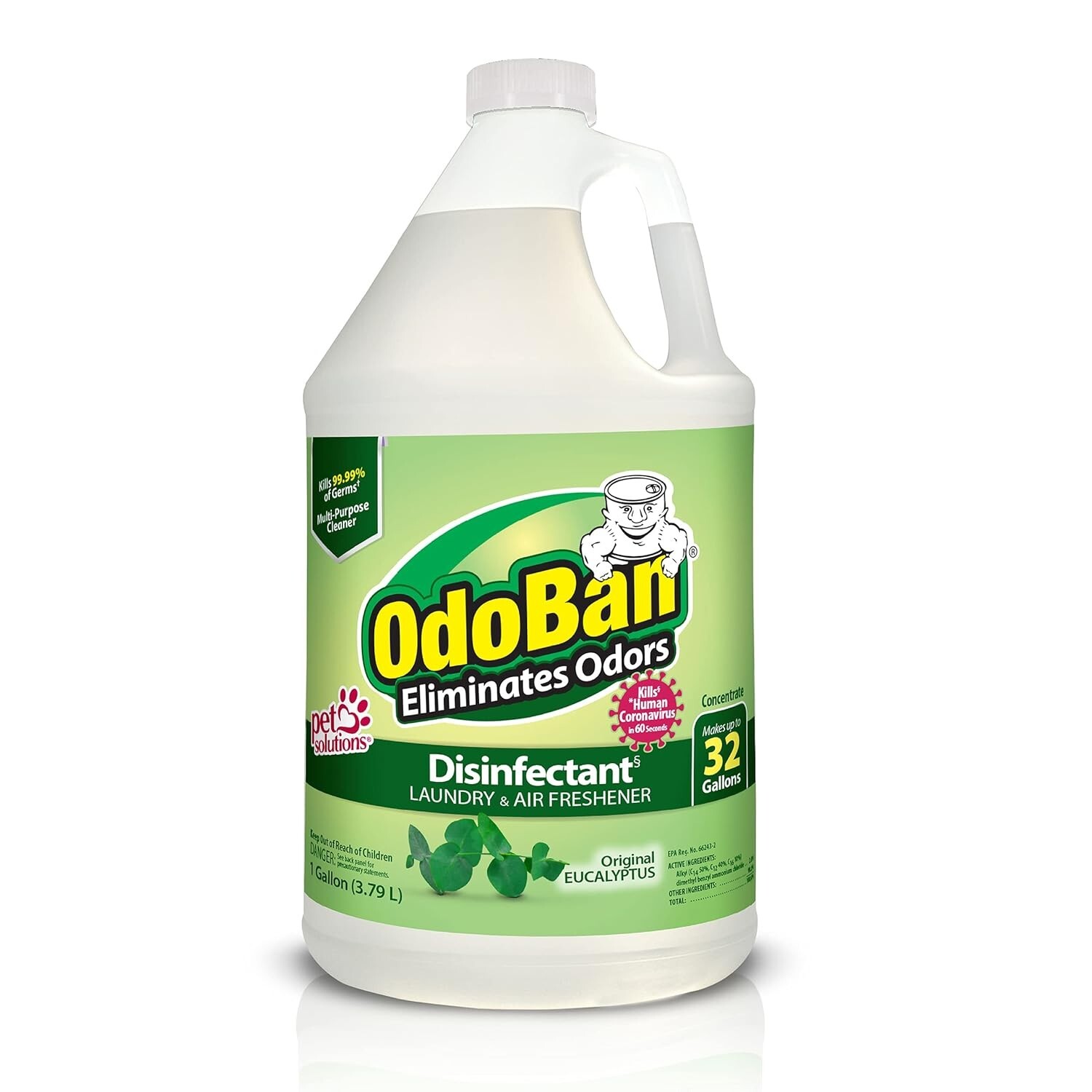 Disinfectant Concentrate and Odor Eliminator,1 Gallon, Original Eucalyptus
