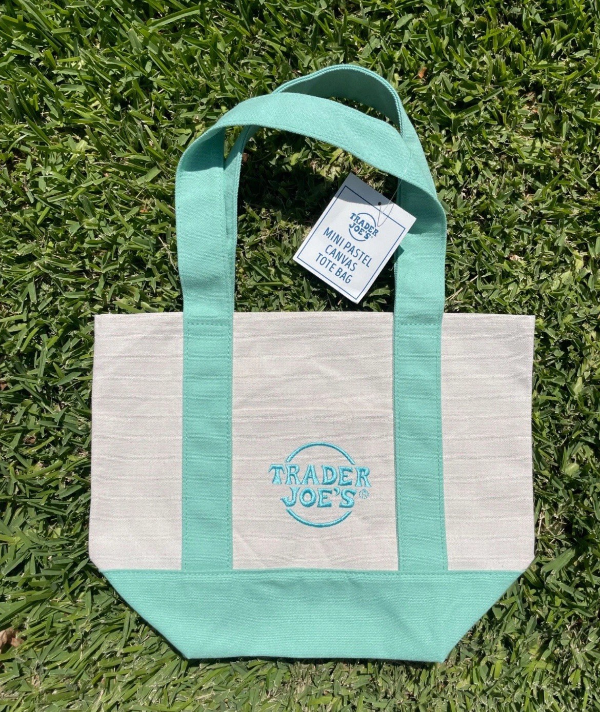 Trader Joe’s Spring 2025 Mini Canvas Tote Bag Pastel New With Tag – Teal / Green