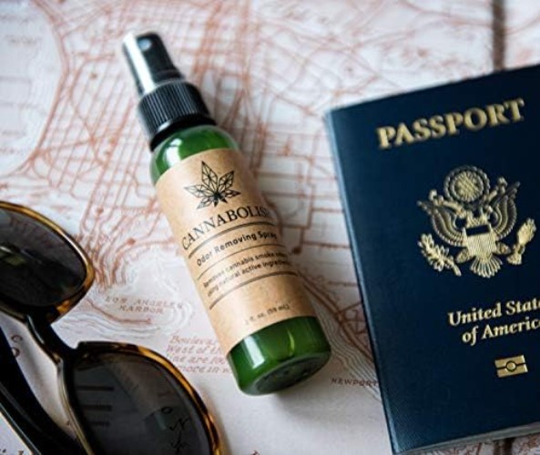 2 fl. oz. Unscented Odor Eliminator Spray – Ideal for Travel and Home Use