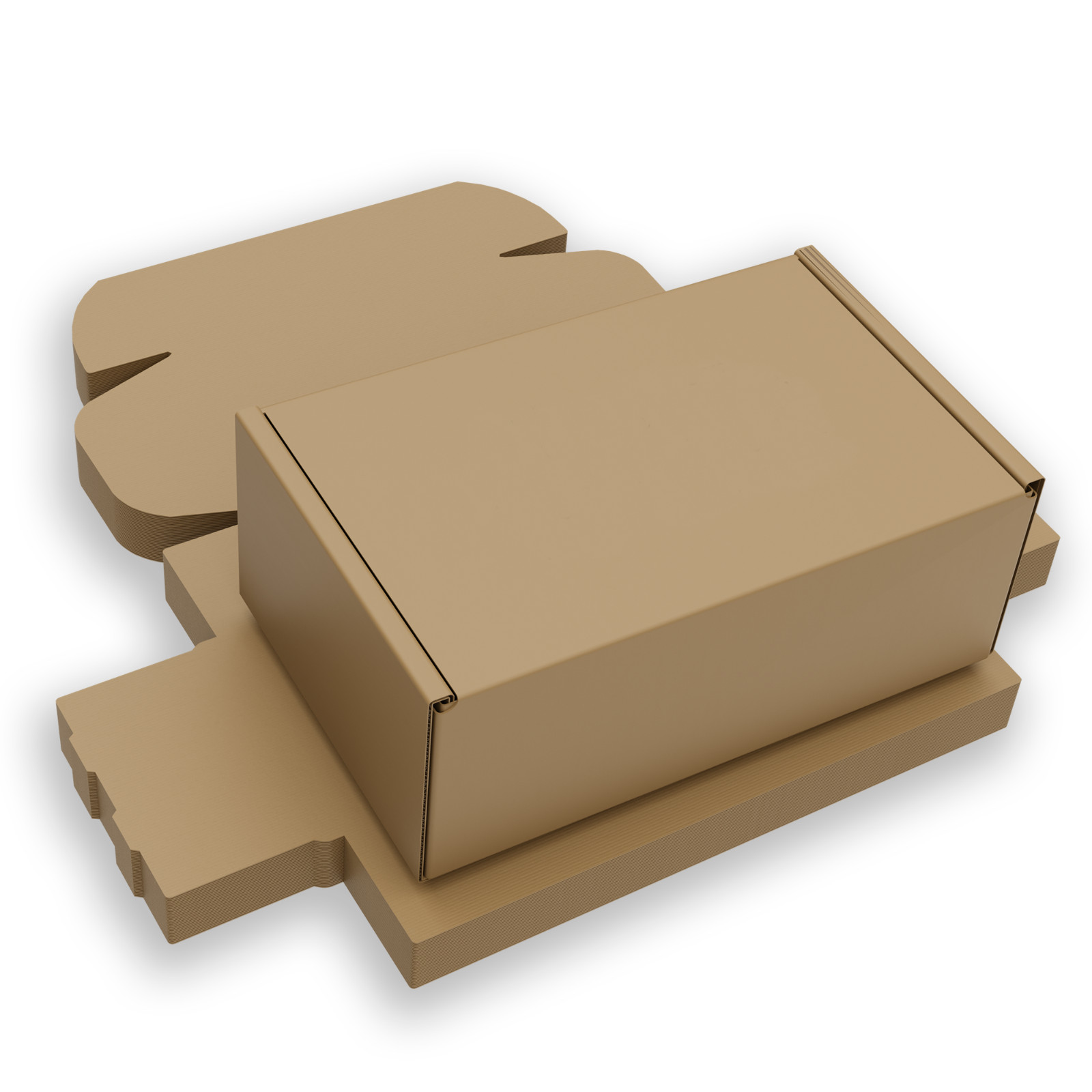 (Medium Size) Blank Shipping and Replacement Shoe Box – 12″ X 9″ X 4.125″