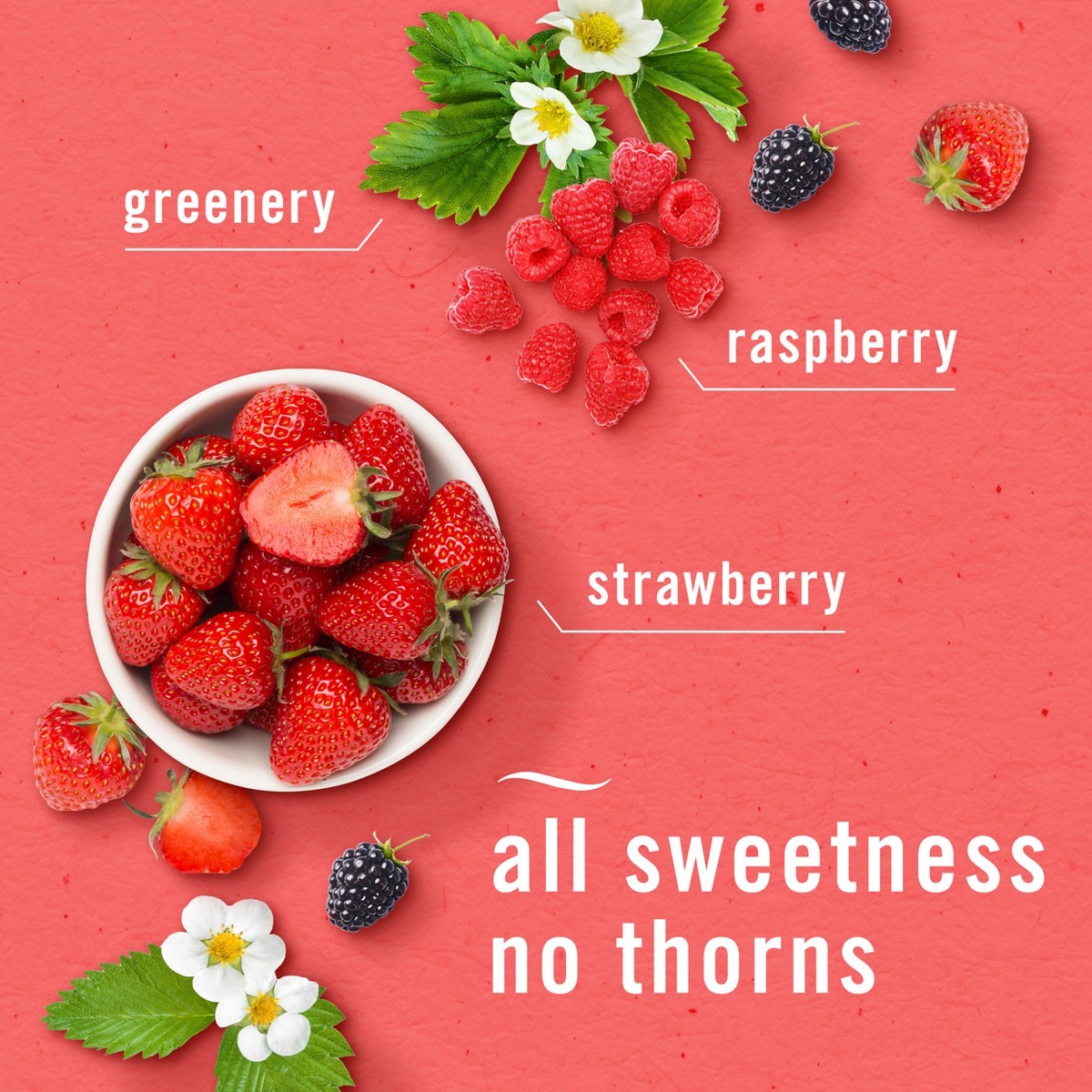 Febreze Plug Triple Refill Air Freshener – Berry & Bramble – 3ct: Oil Scent