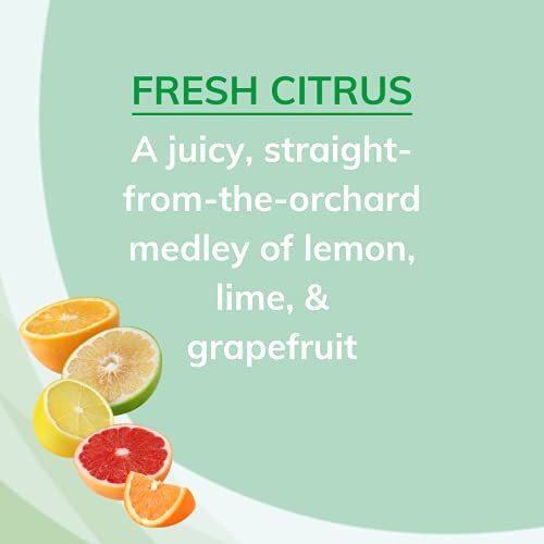 Citrus Magic Odor Absorbing Solid Air Freshener, Fresh Citrus, 8-Ounce, Pack
