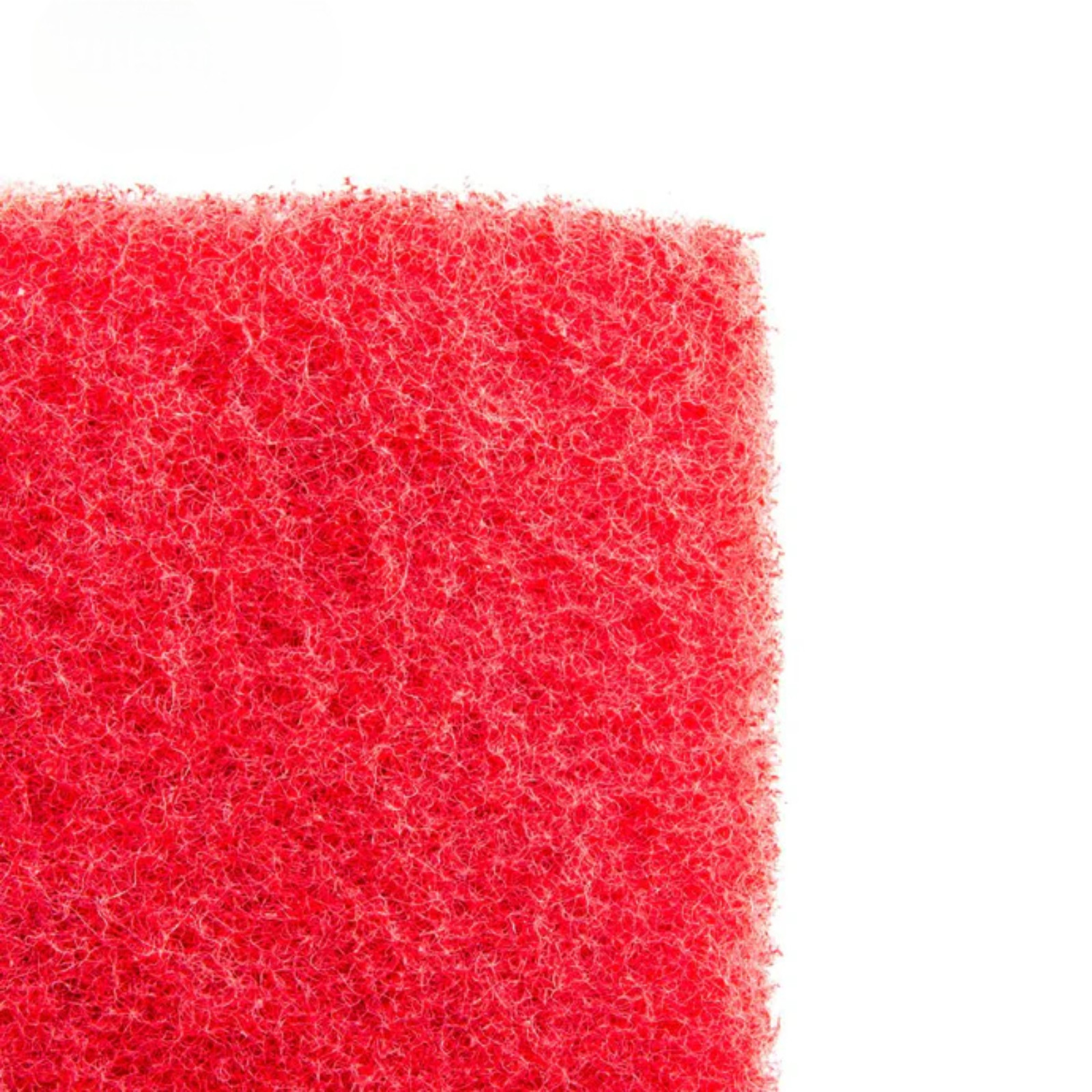 3 Pieces Handle Cleaning Brush (14.5 cm x 6.5 cm) – Free Shipping
