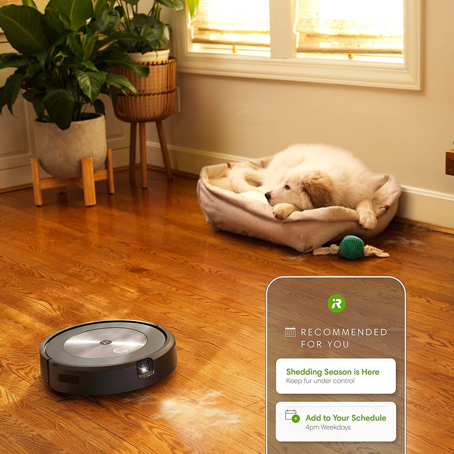 iRobot Roomba j7+ Self-Emptying Vacuum Cleaning Robot – Certified Refurbished!