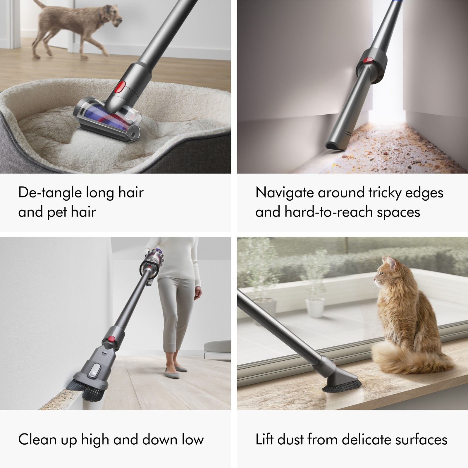 SV28 V11 Extra Cordless Vacuum Cleaner | Iron | Refurbished