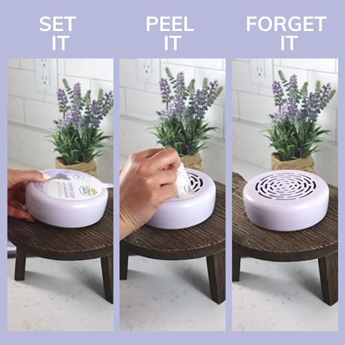 Citrus Magic Odor Absorbing Solid Air Freshener, Assorted Sizes , Colors