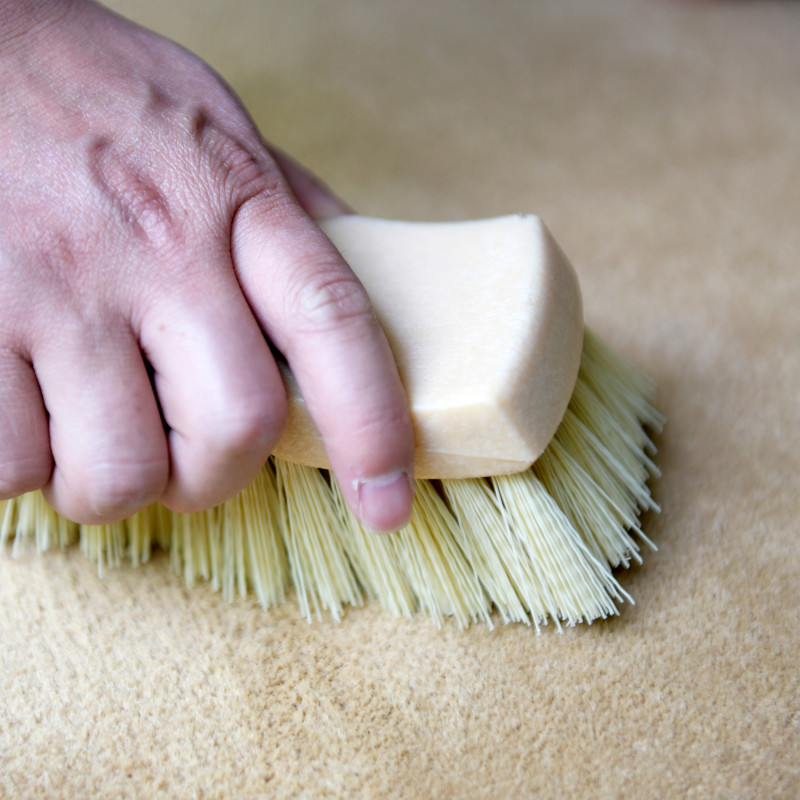 CarCarez Carpet, Vinyle, Floor Mats, Upholstery Scrub Brush