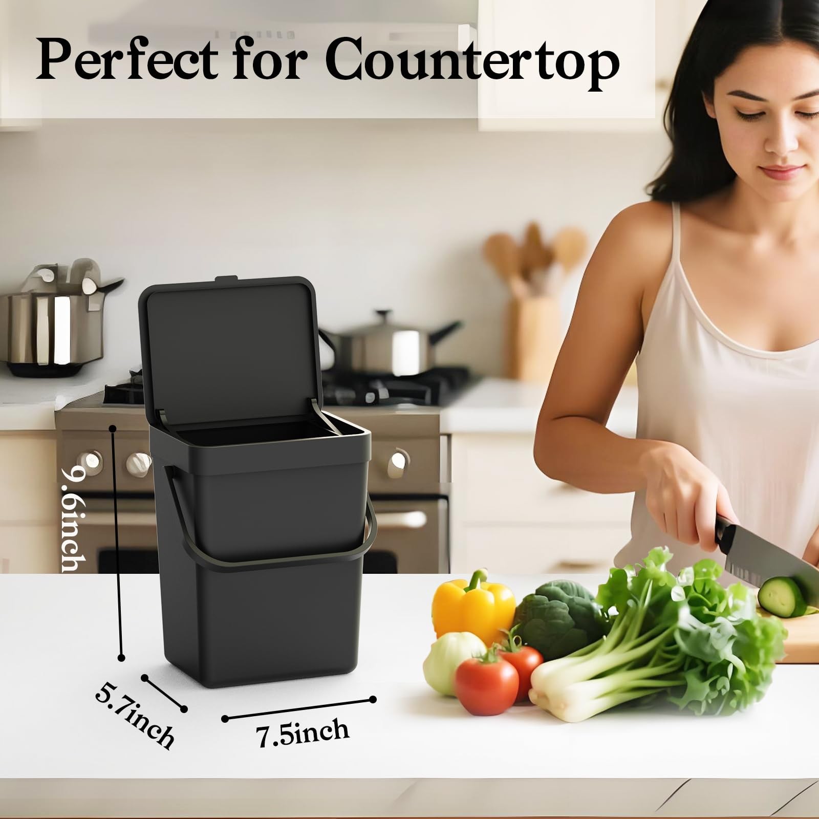 1.3 Gal 5L Countertop Compost Bin Hanging Trash Can Lid Under Sink Mount Black