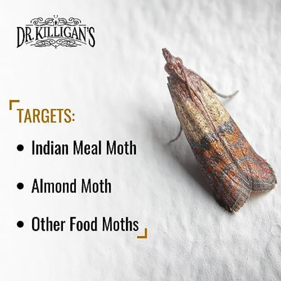 Dr. Killigan’S Premium Double Potent Pantry Moth Traps with Pheromones Prime, St