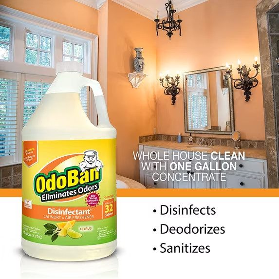 OdoBan Disinfectant Concentrate Odor Eliminator 2 Gallon Citrus Scent