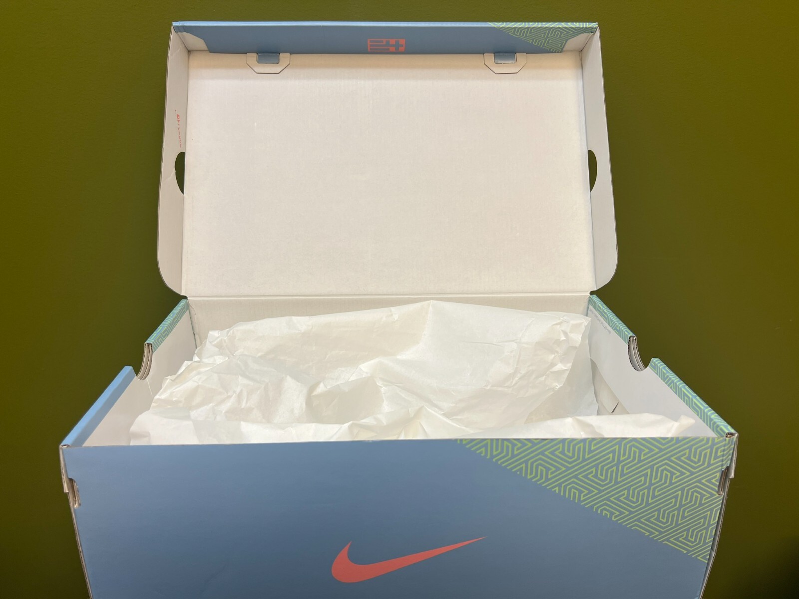 NIKE ZOOM FREAK 4 LIGHT BONE/MOON FOSSIL-SAIL Giannis Shoe Box ONLY! NO SHOES!
