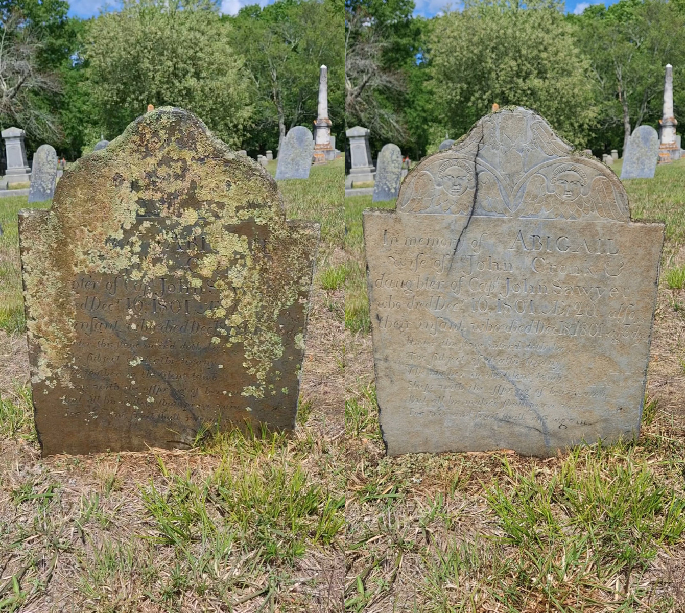 Endurance Restoration – Gravestone & Monument Cleaning – Essential Set