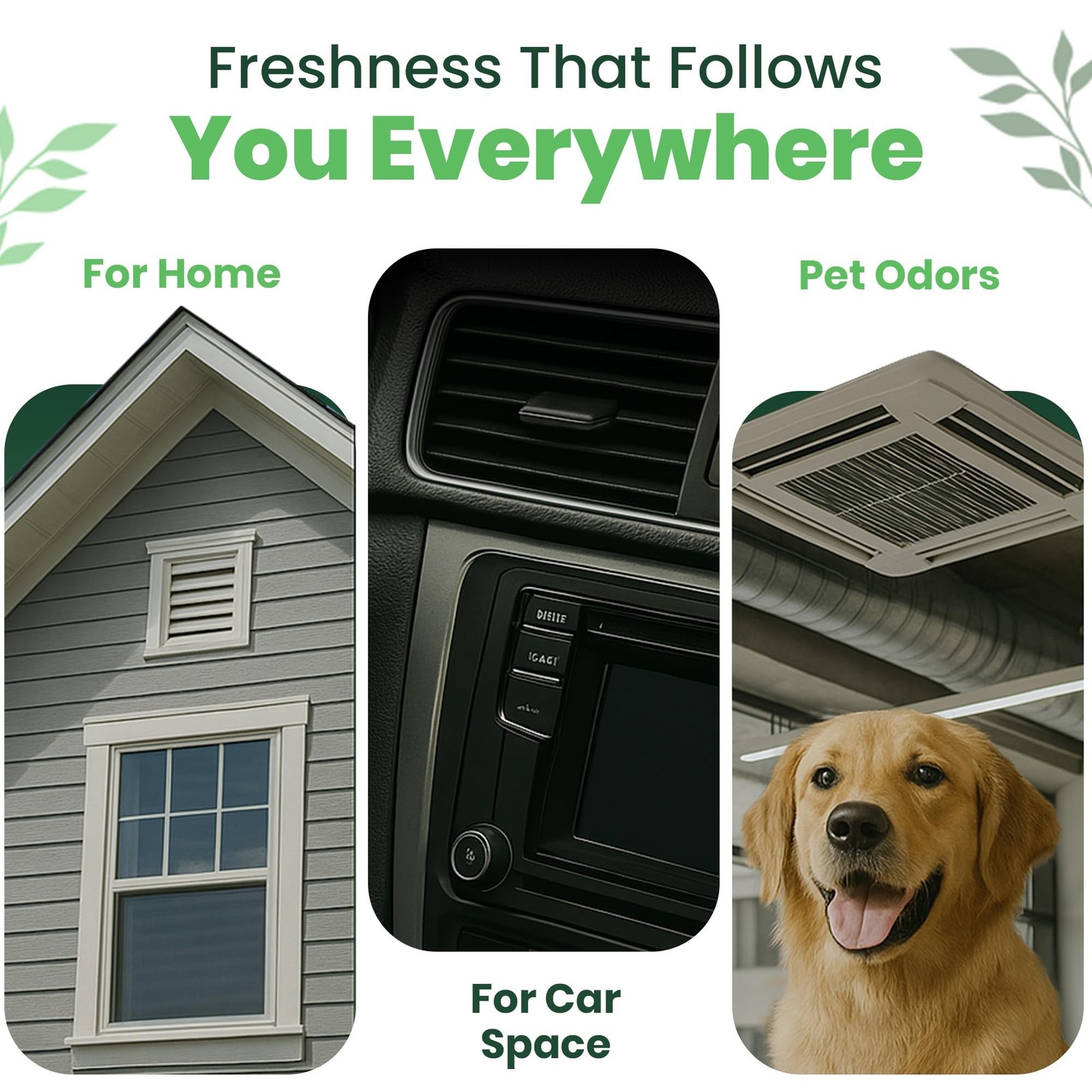 Air Freshener for HVAC System, Commercial, Residential & Cars| Made with Thym…
