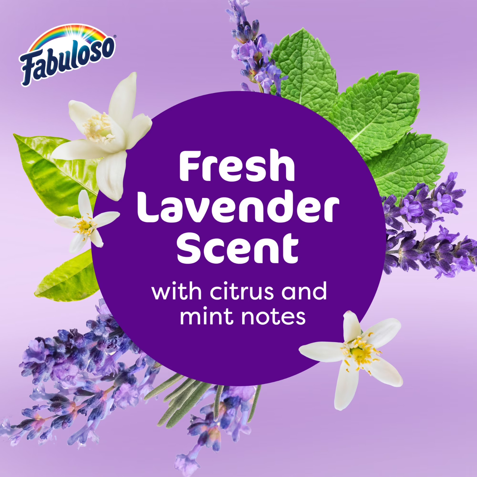 Fabuloso Multi-purpose Cleaner 2x Concentrated | Lavender | 56 Oz 2 Pack
