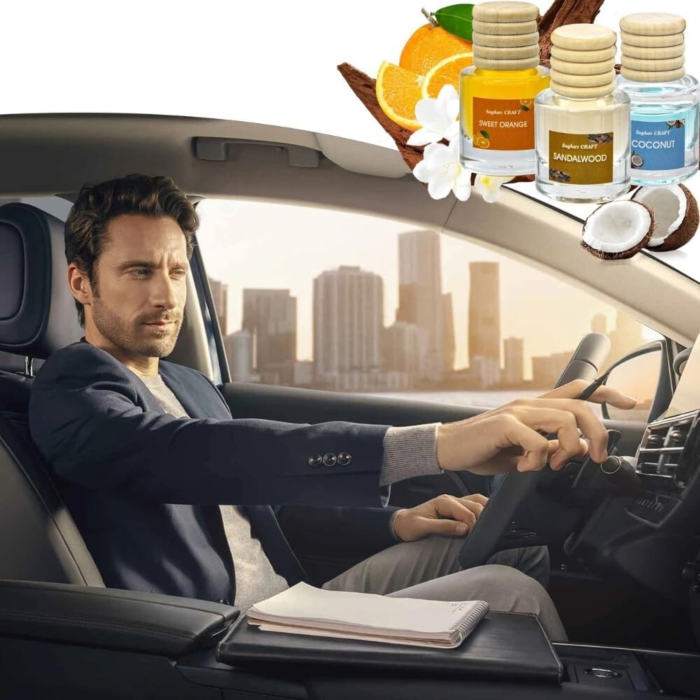 12 Pcs Hanging Car Air Freshener, Long Lasting Fragrance Diffuser , 8ml ea