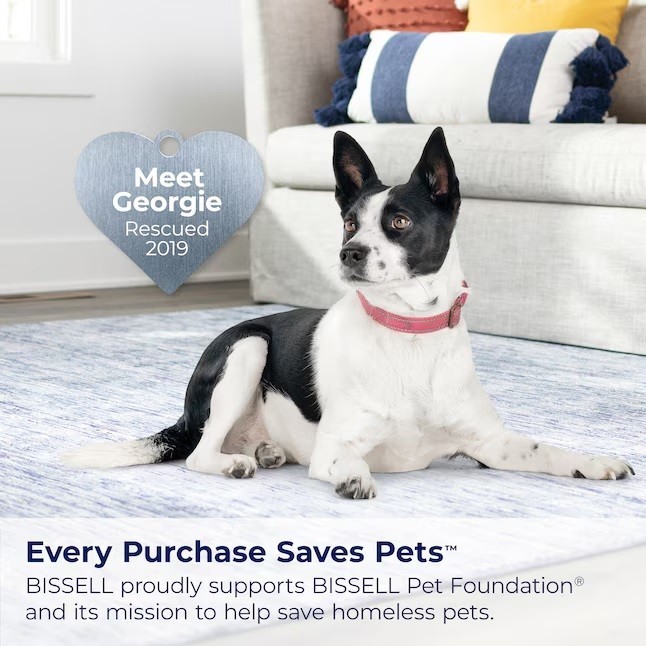 BISSELL Little Green HydroSteam Pet Carpet Upholstery Cleaner 36052 -New@🔥❗