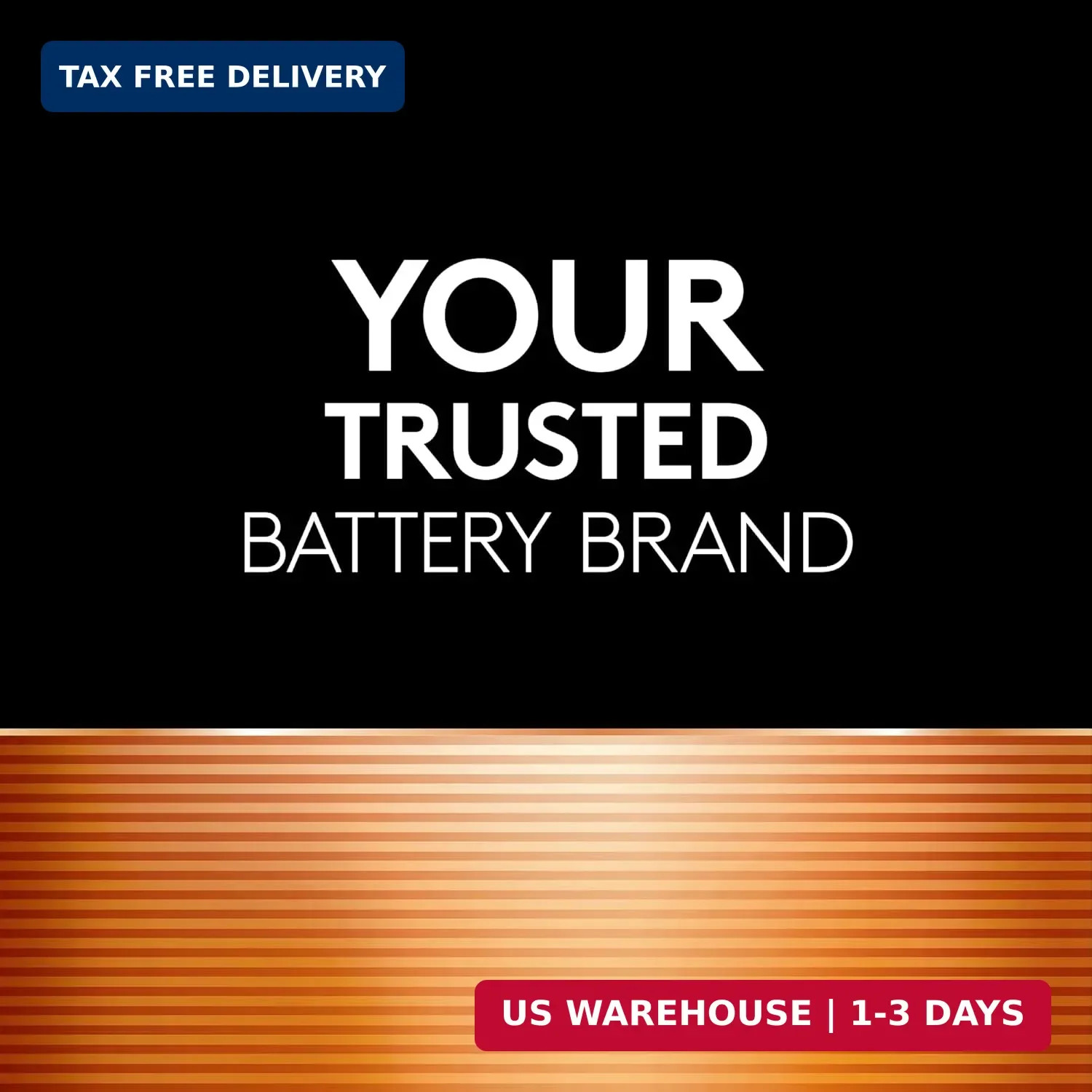 Coppertop AAA Batteries, 28 Pack, 12-Year Shelf Life, Storage Tray