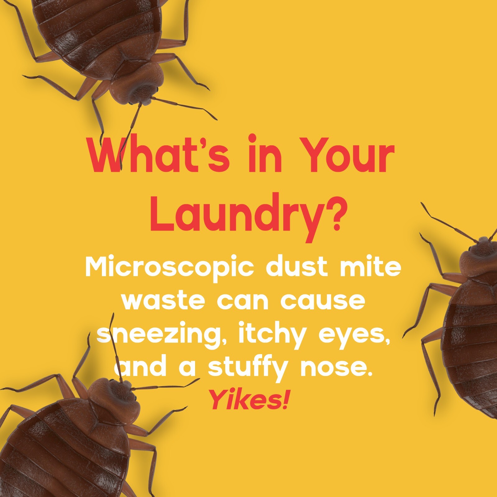 DeMite Laundry Additive (8 oz) Allergen Eliminator w/ Bonus eBook & Expert Tips