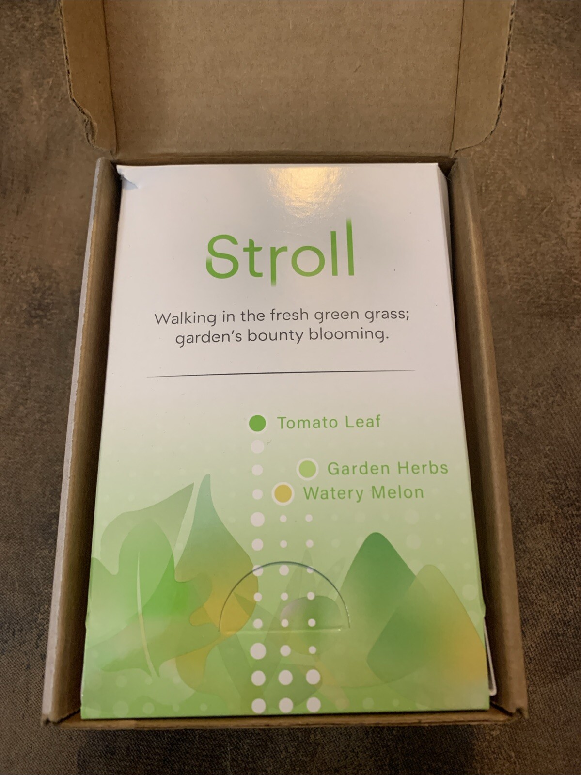 Glade True Diffusing Mist Room Fragrance Spray “Stroll” Mist 1fl