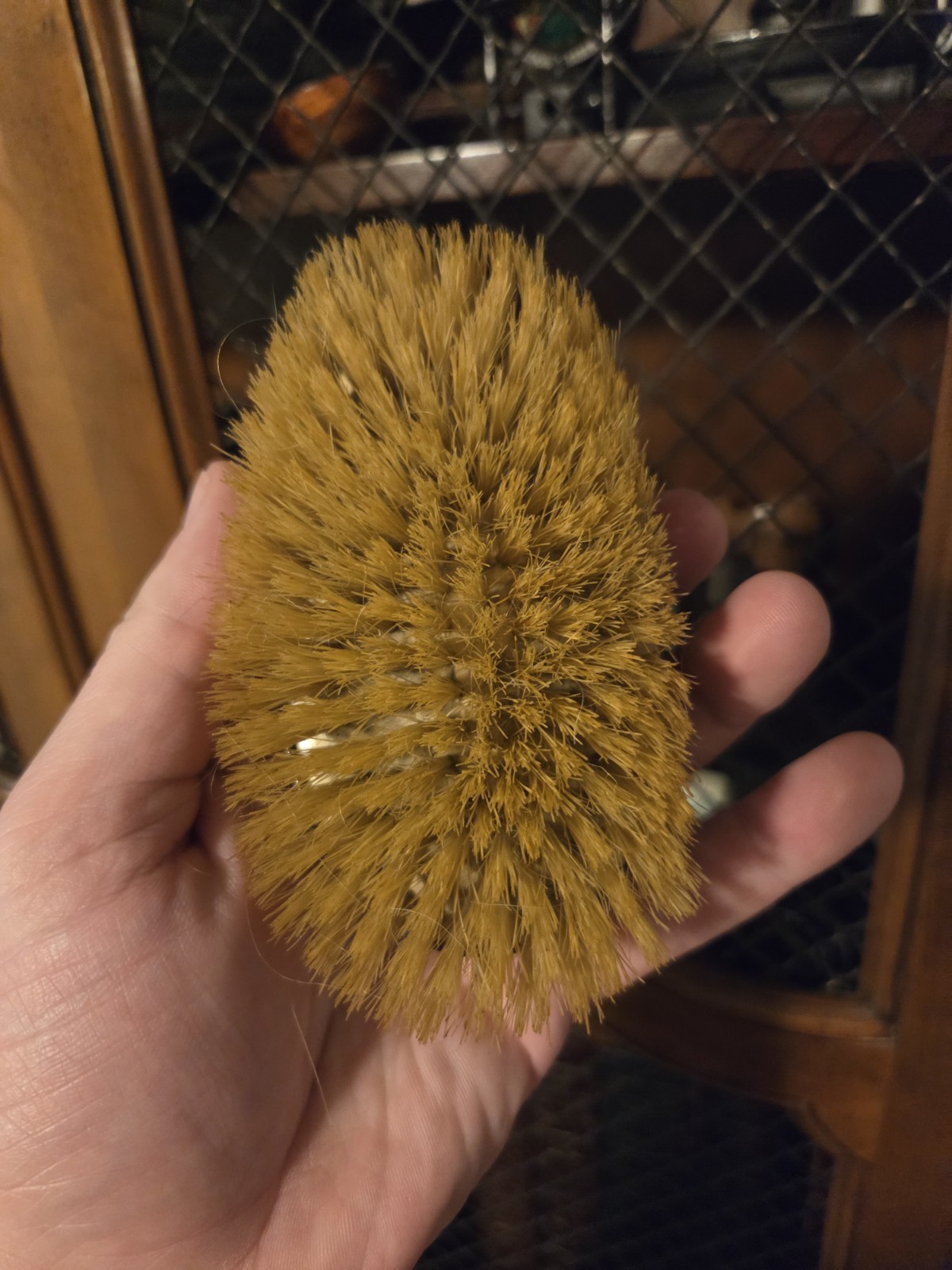 Vintage Silverplate clothes brush with an Art Nouveau design