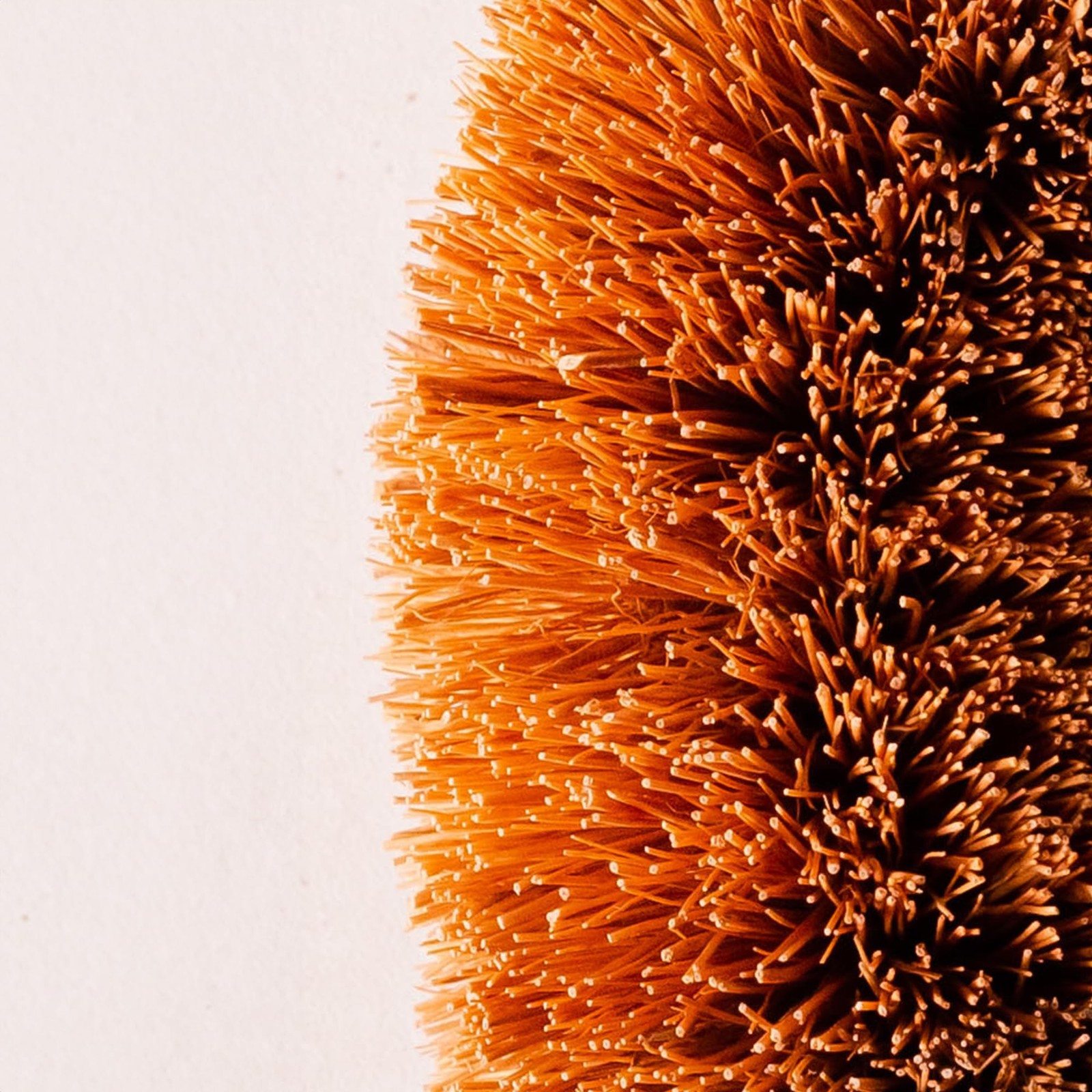 Pack of 6 Tawashi 100% Natural Coconut Coir Fiber Brush Vegetable Scrub Brush
