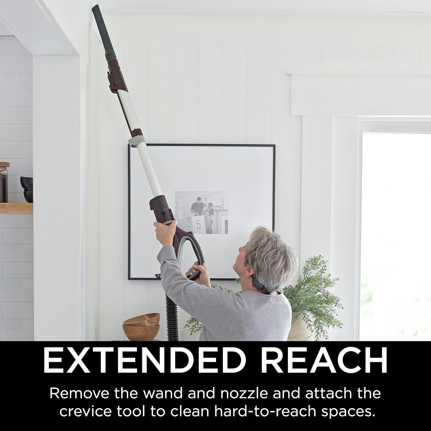 NV752 Rotator Powered Lift-Away Truepet Upright Vacuum with HEPA Filter, Large D