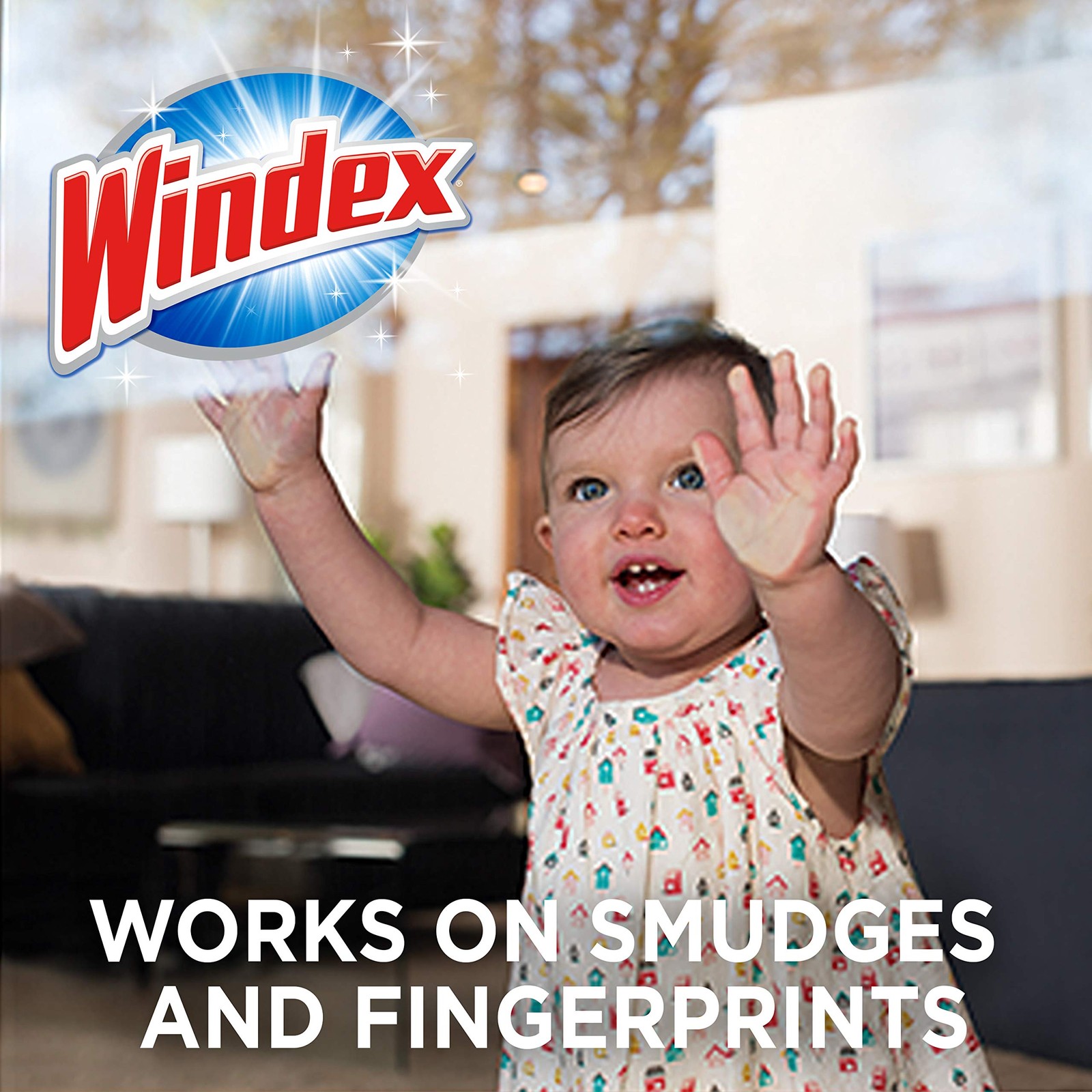 Windex Wipes Glass Cleaning, 38 Count (Pack of 1), 38 1)