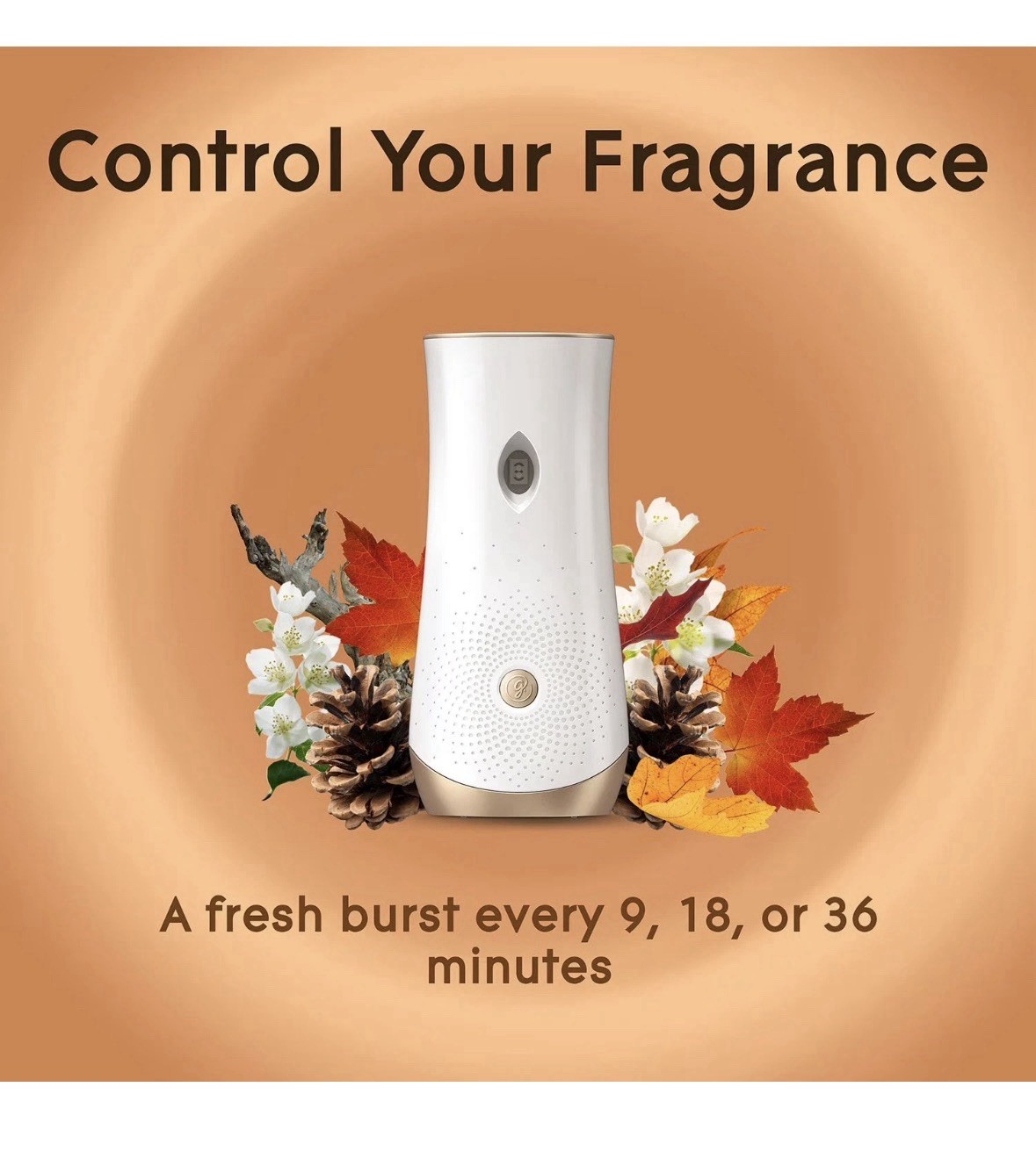Glade Automatic Spray Air Freshener Refills, Cashmere Woods, 4 ct.