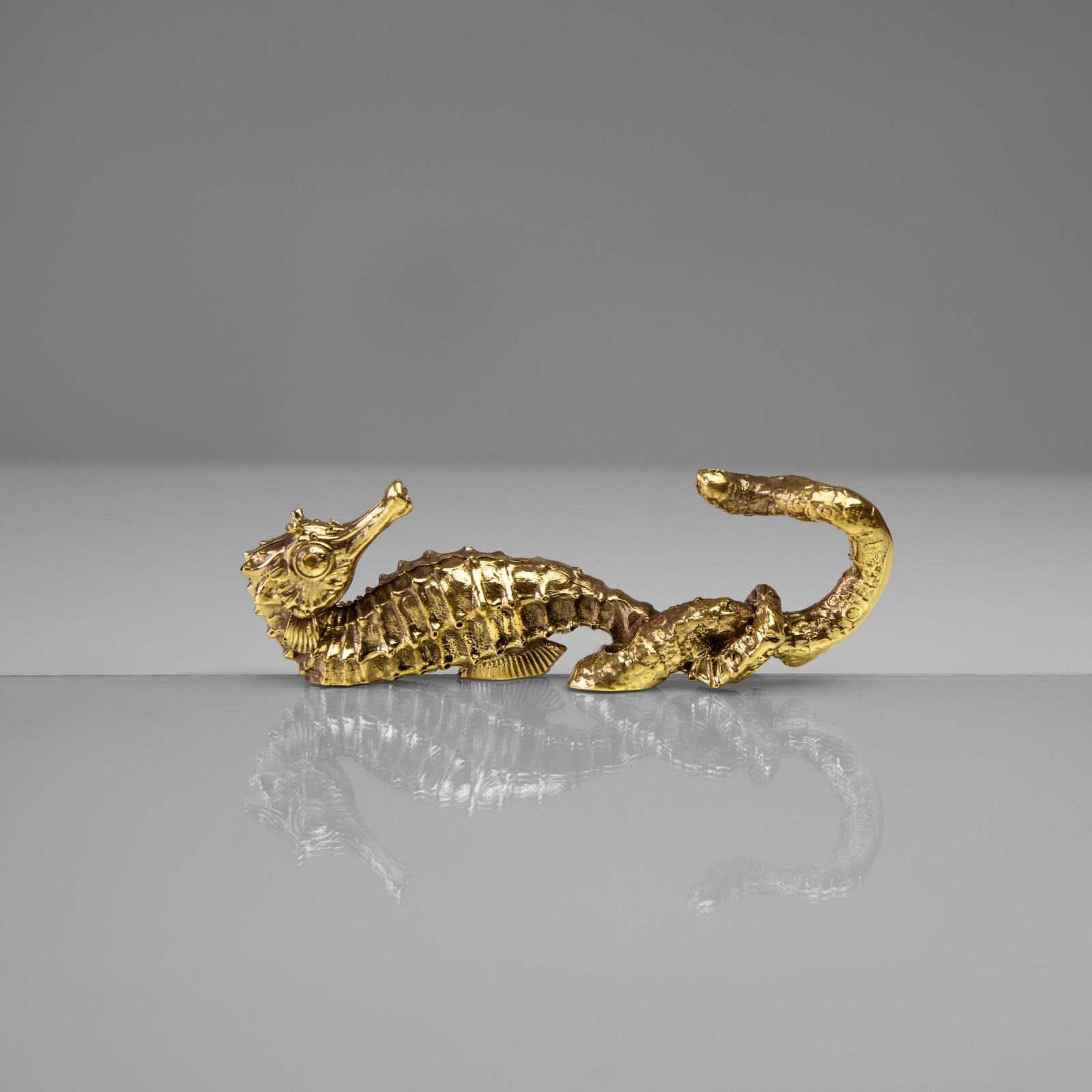 Brass seahorse hook. Strong and durable, perfect for bathroom towels
