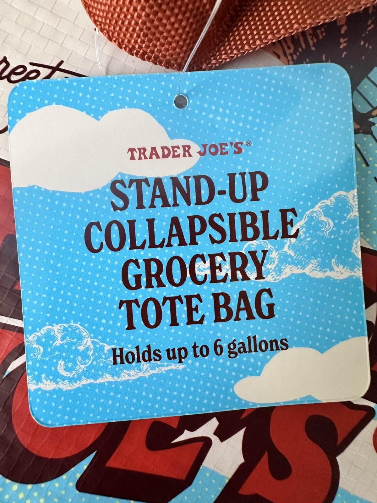 Trader Joe’s NEW 💚 STAND-UP COLLAPSIBLE REUSABLE GROCERY SHOPPING TOTE GIFT BAG